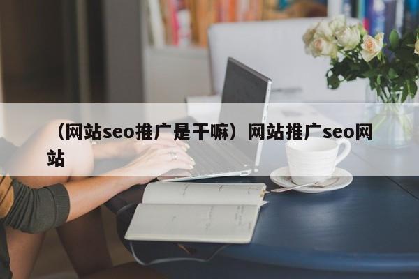 （网站seo推广是干嘛）网站推广seo网站