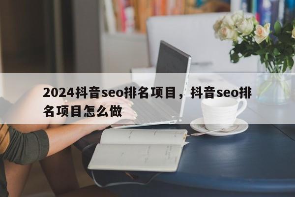 2024抖音seo排名项目，抖音seo排名项目怎么做