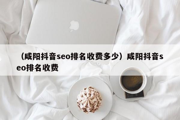 （咸阳抖音seo排名收费多少）咸阳抖音seo排名收费