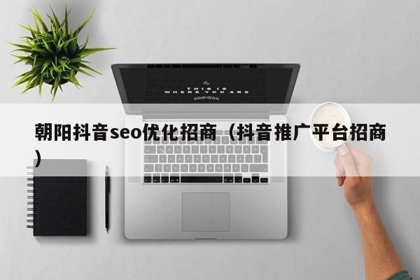 朝阳抖音seo优化招商（抖音推广平台招商）