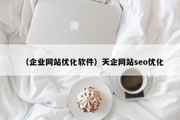 （企业网站优化软件）天企网站seo优化