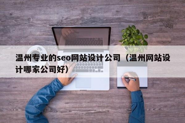 温州专业的seo网站设计公司（温州网站设计哪家公司好）