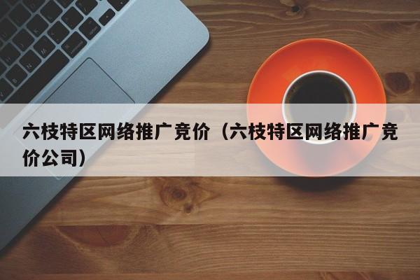 六枝特区网络推广竞价（六枝特区网络推广竞价公司）