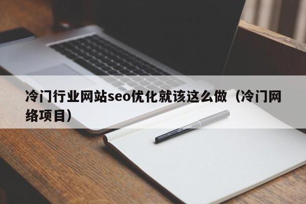 冷门行业网站seo优化就该这么做（冷门网络项目）