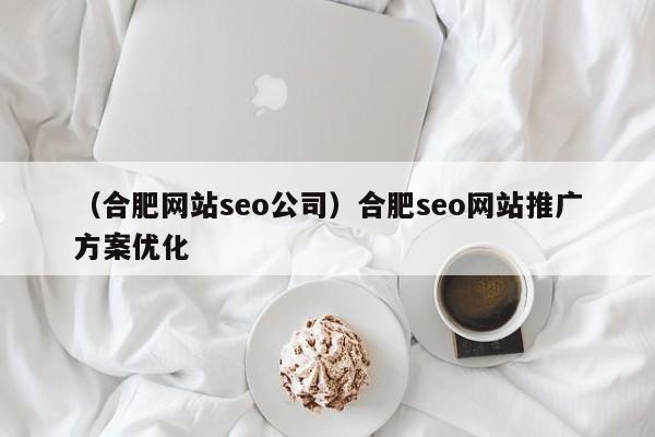 （合肥网站seo公司）合肥seo网站推广方案优化