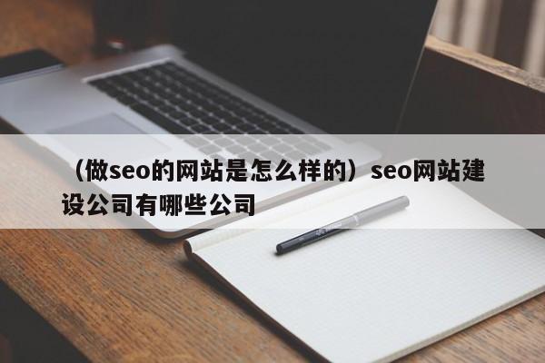 （做seo的网站是怎么样的）seo网站建设公司有哪些公司