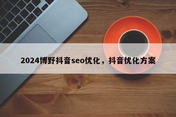 2024博野抖音seo优化，抖音优化方案