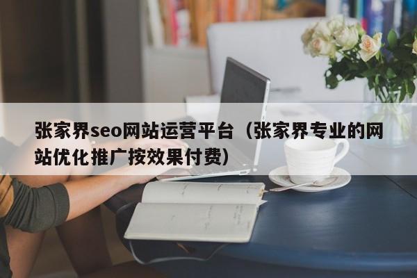 张家界seo网站运营平台（张家界专业的网站优化推广按效果付费）