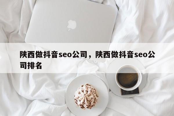 陕西做抖音seo公司，陕西做抖音seo公司排名