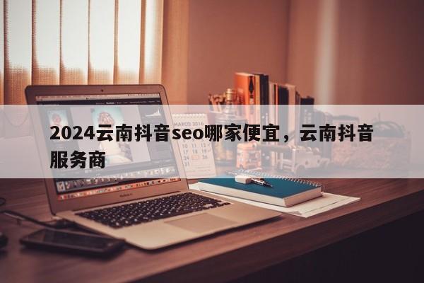 2024云南抖音seo哪家便宜，云南抖音服务商