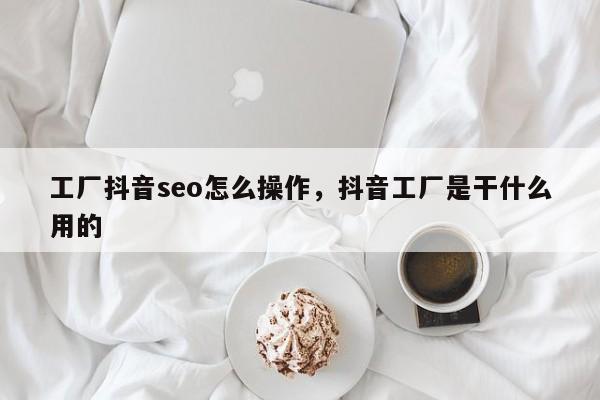 工厂抖音seo怎么操作，抖音工厂是干什么用的