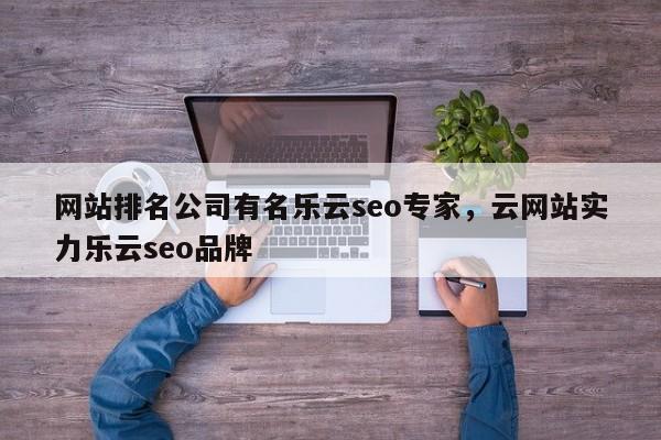 网站排名公司有名乐云seo专家，云网站实力乐云seo品牌