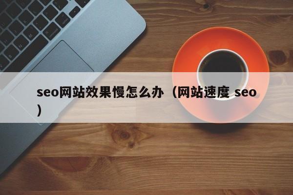 seo网站效果慢怎么办（网站速度 seo）