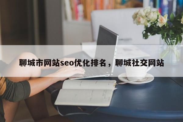 聊城市网站seo优化排名，聊城社交网站