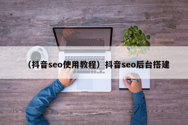 （抖音seo使用教程）抖音seo后台搭建