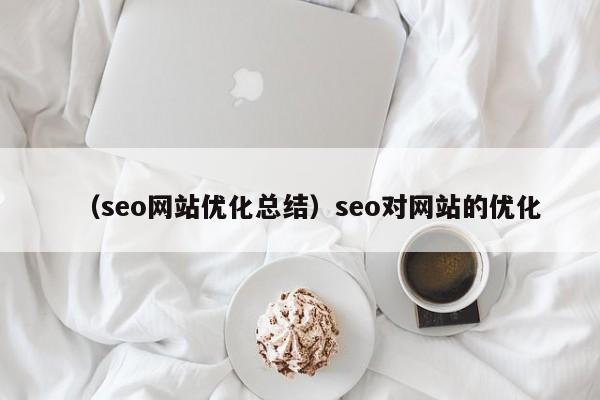 （seo网站优化总结）seo对网站的优化