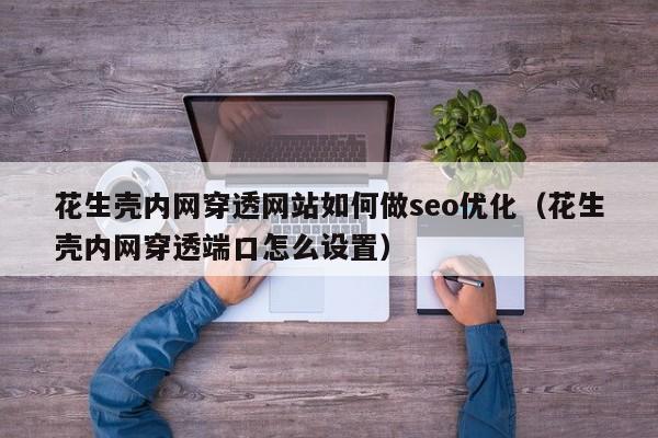 花生壳内网穿透网站如何做seo优化（花生壳内网穿透端口怎么设置）