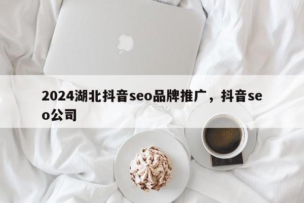 2024湖北抖音seo品牌推广，抖音seo公司