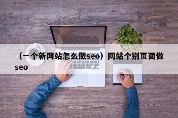 （一个新网站怎么做seo）网站个别页面做seo