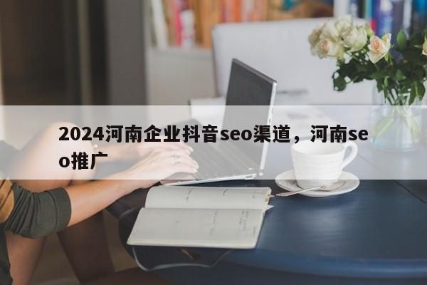 2024河南企业抖音seo渠道，河南seo推广