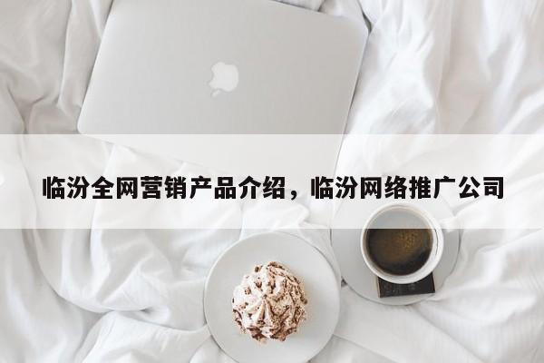 临汾全网营销产品介绍，临汾网络推广公司