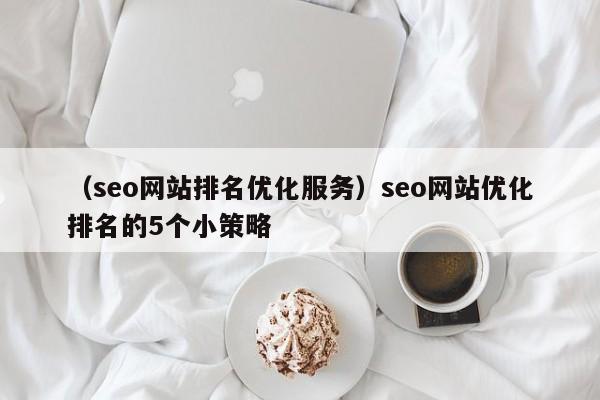 （seo网站排名优化服务）seo网站优化排名的5个小策略