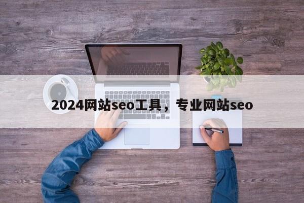 2024网站seo工具，专业网站seo