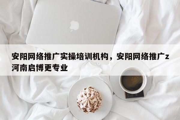 安阳网络推广实操培训机构，安阳网络推广z河南启博更专业