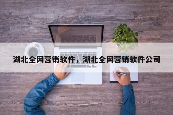 湖北全网营销软件，湖北全网营销软件公司