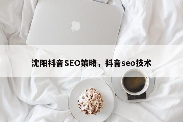 沈阳抖音SEO策略，抖音seo技术