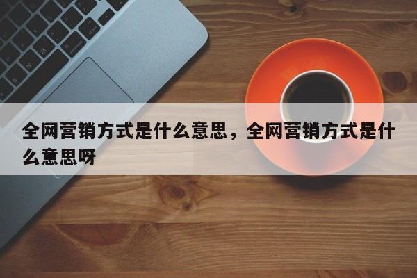 全网营销方式是什么意思，全网营销方式是什么意思呀