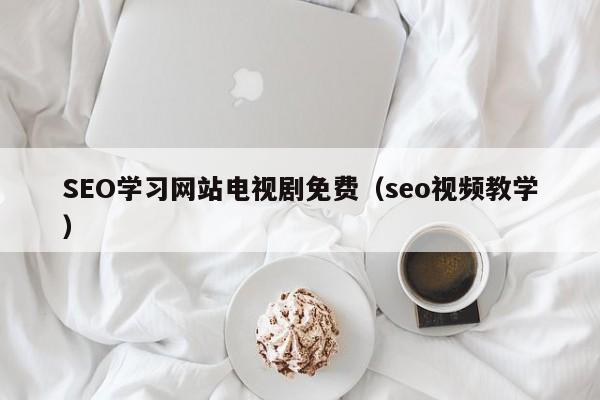 SEO学习网站电视剧免费（seo视频教学）