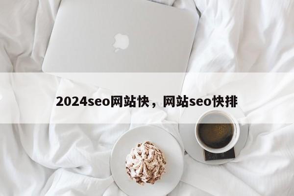 2024seo网站快，网站seo快排