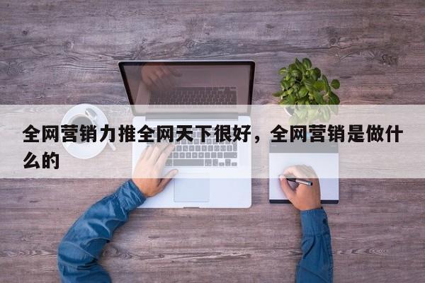 全网营销力推全网天下很好，全网营销是做什么的