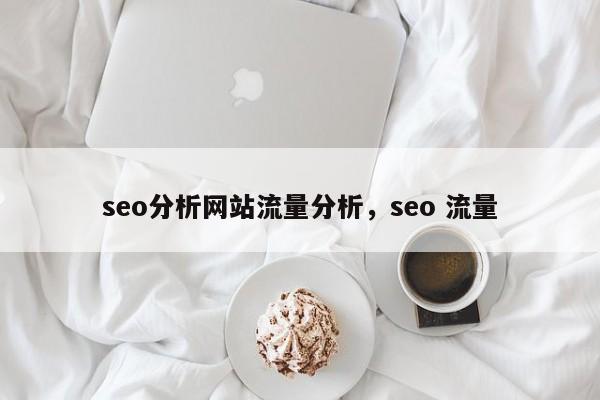 seo分析网站流量分析，seo 流量