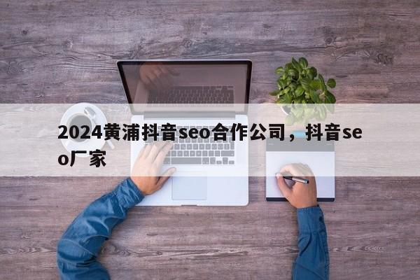 2024黄浦抖音seo合作公司，抖音seo厂家