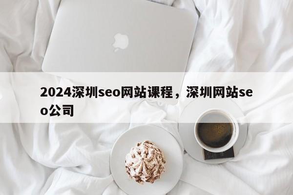 2024深圳seo网站课程，深圳网站seo公司