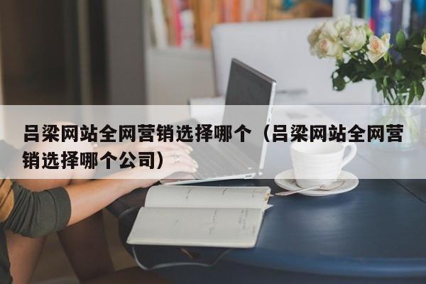 吕梁网站全网营销选择哪个（吕梁网站全网营销选择哪个公司）