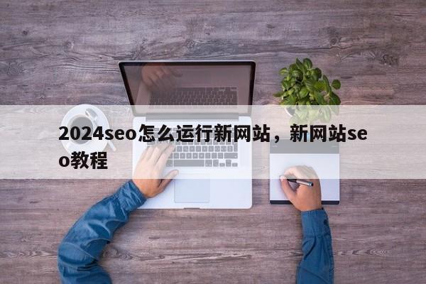 2024seo怎么运行新网站，新网站seo教程