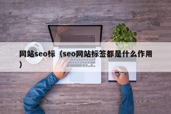 网站seo标（seo网站标签都是什么作用）