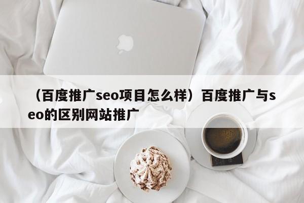 （百度推广seo项目怎么样）百度推广与seo的区别网站推广