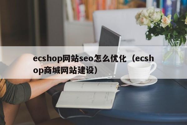 ecshop网站seo怎么优化（ecshop商城网站建设）