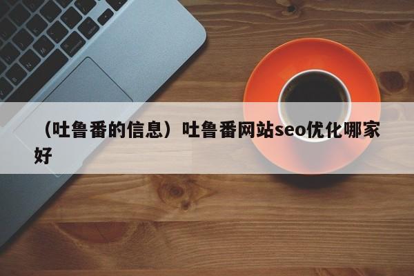 （吐鲁番的信息）吐鲁番网站seo优化哪家好