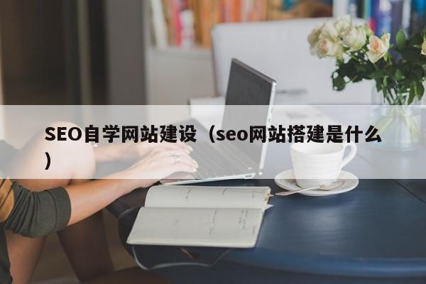 SEO自学网站建设（seo网站搭建是什么）