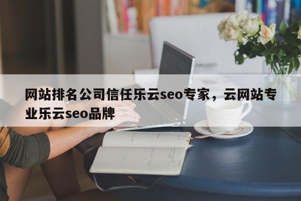 网站排名公司信任乐云seo专家，云网站专业乐云seo品牌