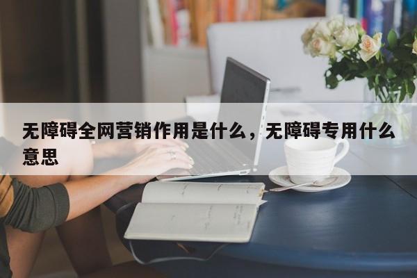 无障碍全网营销作用是什么，无障碍专用什么意思