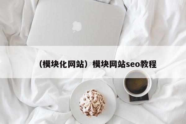 （模块化网站）模块网站seo教程