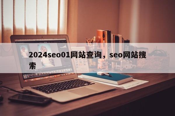 2024seo01网站查询，seo网站搜索