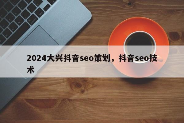 2024大兴抖音seo策划，抖音seo技术