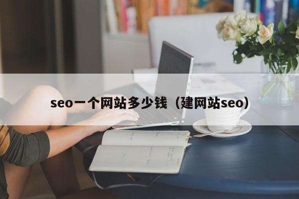 seo一个网站多少钱（建网站seo）